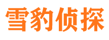 炎陵市侦探公司